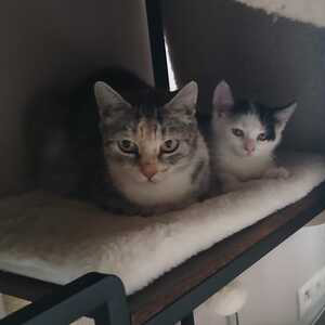 Mama und Kind
